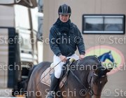 Indorami Tosc Tour2013- S5 1751 : Arezzo, Cavalli d'Italia, Indorami di Villa Giove, Toscana Tour 2013, foto di Stefano Secchi ©
